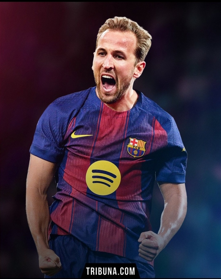 安卓APP-接班莱万！西媒：巴萨目标明年引进凯恩，价格或低于5000万欧